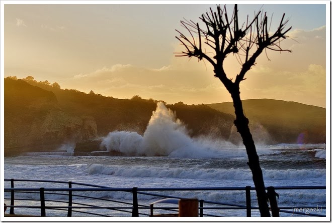 DSC_1040 DSC_1040