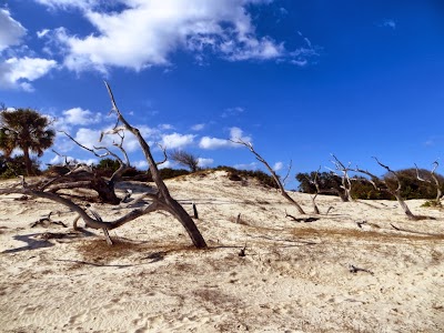 Beach IMAGE_484.jpg