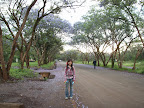 PICT0006-1.JPG