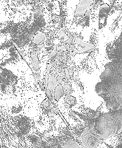 Magic Sleep, Asatru Gods And Heroes