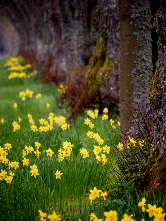 [8%2520May%252010%252008-05-2013%252011-38-32%25203024x4032%255B3%255D.jpg]