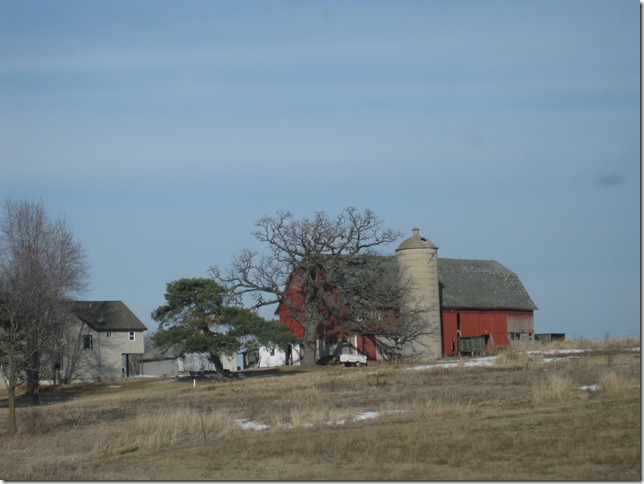 IMG_1516 IMG_1516