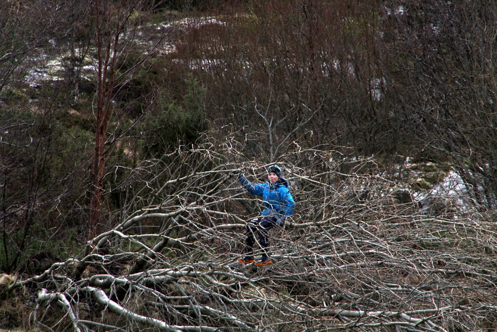 [IMG_8077%255B5%255D.jpg]