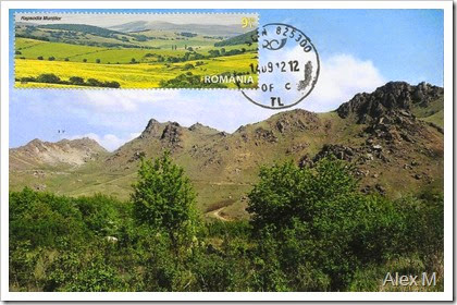 Macin-fata_PB Macin-fata_PB