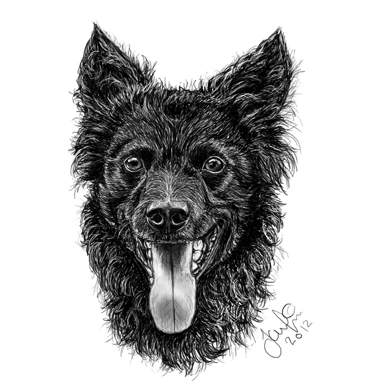 [Hund3%255B5%255D.jpg]