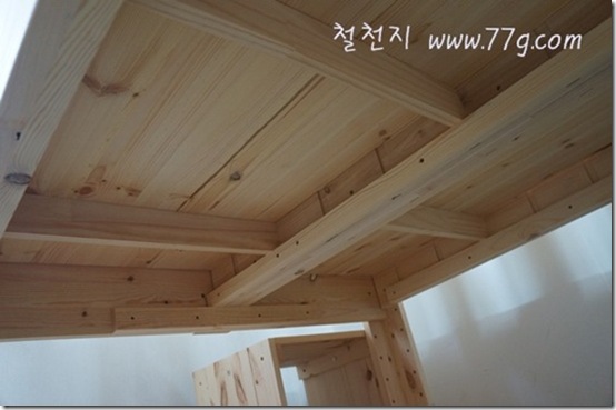 철천지DSC04876-20120711-162010 철천지DSC04876-20120711-162010