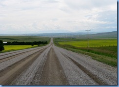1178 Alberta - gravel roads between Head-Smashed-In Buffalo Jump Interpretive Centre and Pincher Creek - canola field mountains ahead 1178 Alberta - gravel roads between Head-Smashed-In Buffalo Jump Interpretive Centre and Pincher Creek - canola field mountains ahead