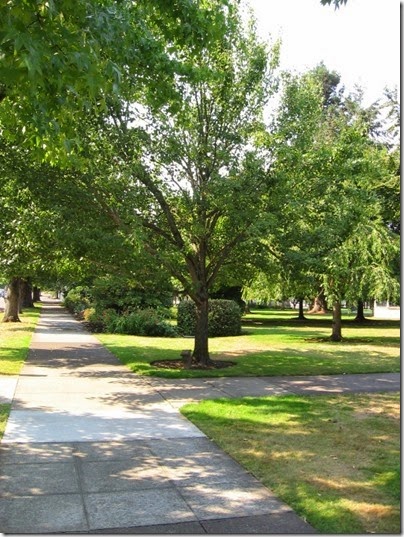 IMG_3264 Thomas Vaughan Tree at Willson Park in Salem, Oregon on September 4, 2006
