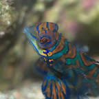 DSC_2203.jpg