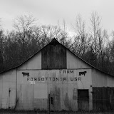 "Forgottonia" - copyright Joel DeCounter