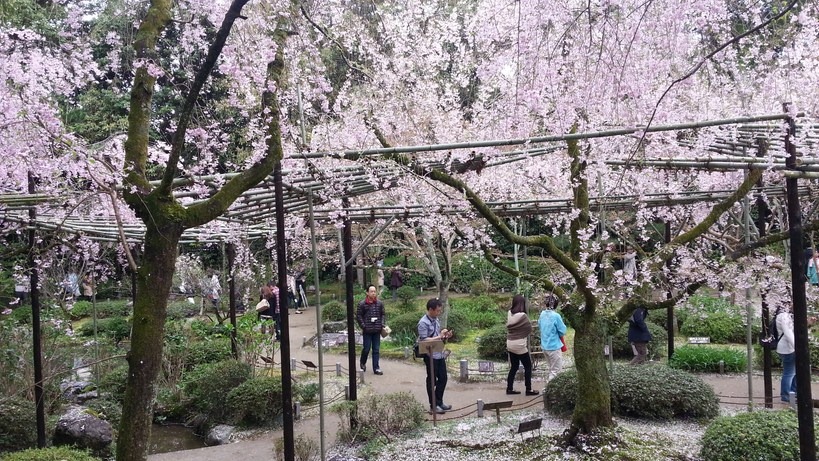 [2013OsakaTrip_Day3_295.jpg]