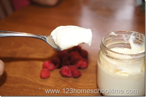 delicious greek style yogurt from scratch delicious greek style yogurt from scratch