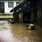 img241.jpg