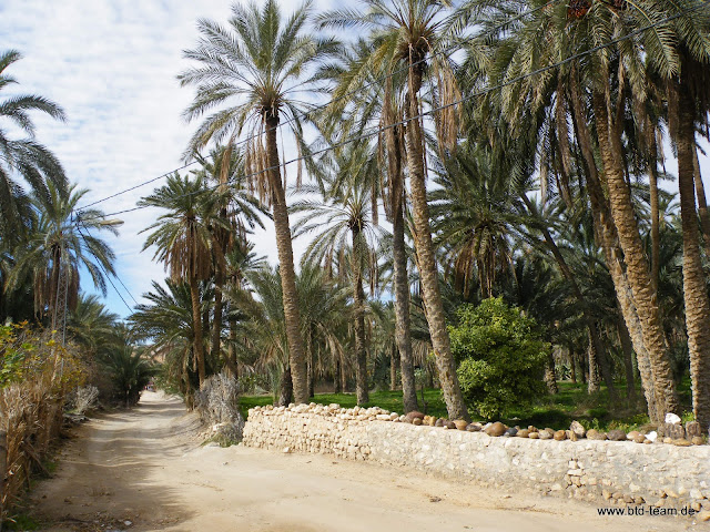 Tunesien-12-2010-166.JPG