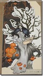 IMG_1074 IMG_1074