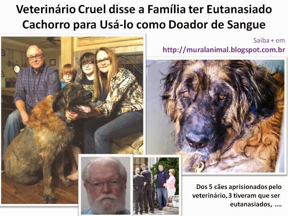 [Veterin%25C3%25A1rio%2520Cruel%2520disse%2520a%2520Fam%25C3%25ADlia%2520ter%2520Eutanasiado%255B3%255D.jpg]
