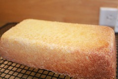 IMG_0082 IMG_0082
