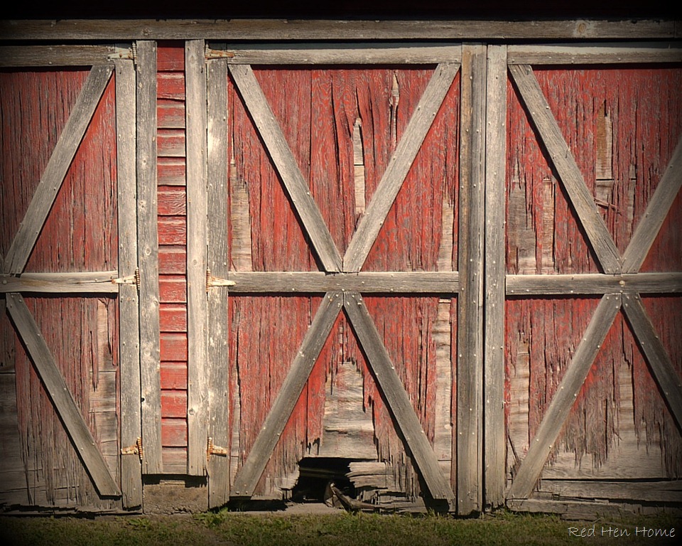 [kidpics%2520103-1%255B2%255D.jpg]