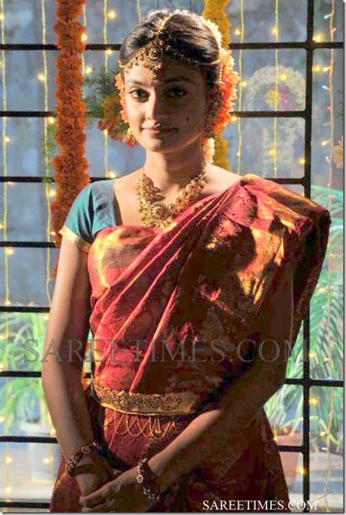 Nikitha_Narayan_Traditional_Saree (1)