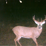 austin0006.jpg