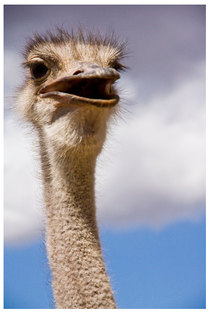 [image%255B6%255D.png]
