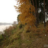 dsc06300.jpg