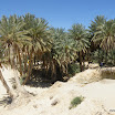 Tunesien-04-2012-217.JPG
