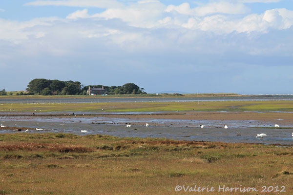 [32-aberlady%255B2%255D.jpg]