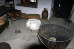 IMG_7331.jpg