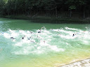 IMG_1217.jpg