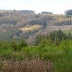 PB110021.jpg