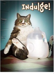 milk