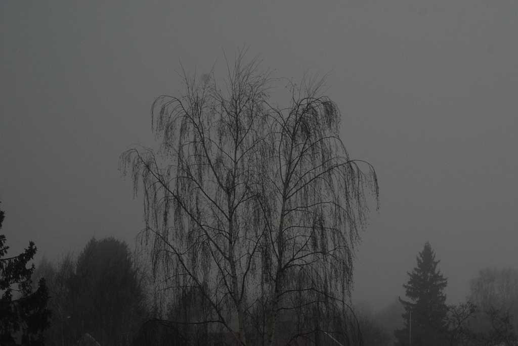 [tokina%2520001%255B6%255D.jpg]