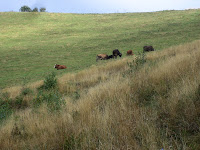 20070920_0044.JPG