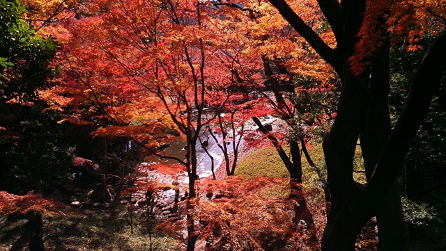 [IMAG05403.jpg]