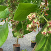 DSCN1361.JPG