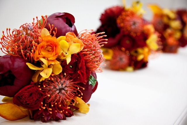 [just-bloomed84.jpg]