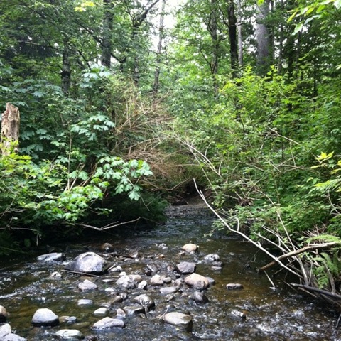 [IMG_01053.jpg]