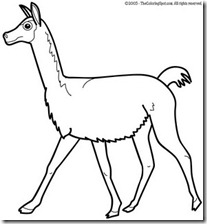 vicuna