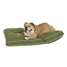 [Pet-Dreams-Pet-Bed-Review-Only3.jpg]