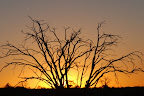 Afrikanische Landschaften Slideshow