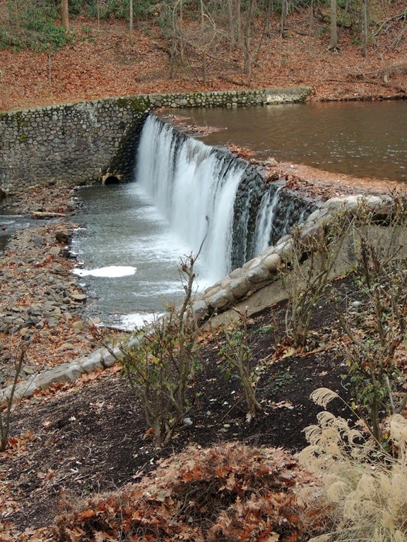 [DSCN1045%255B3%255D.jpg]