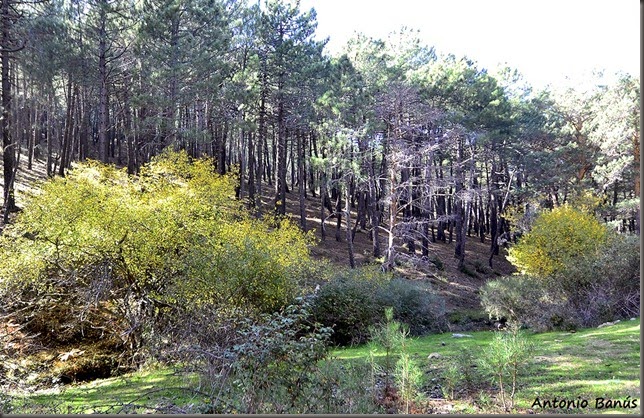_DSC3583x1