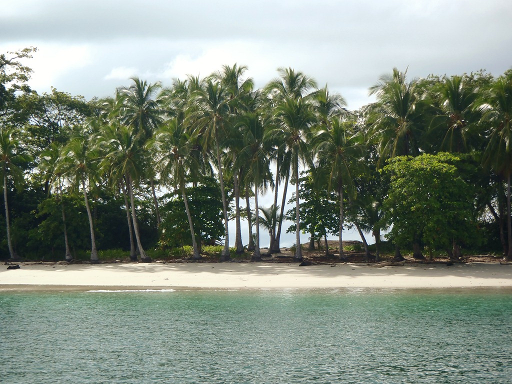 [PB1700274.jpg]