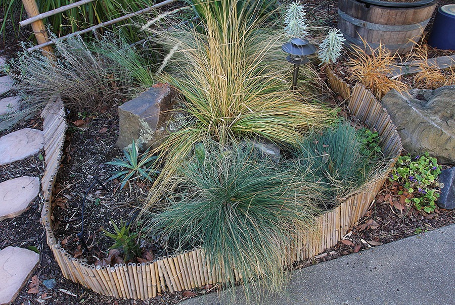 [120127_succ_cleanup_08%255B2%255D.jpg]