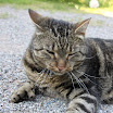 http://lh4.ggpht.com/-lKU0T3yMz3o/TqnkAdfdkXI/AAAAAAAABDY/dak7ulFCHWU/s1600/IMG_9705.JPG