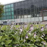 _MG_3004.jpg