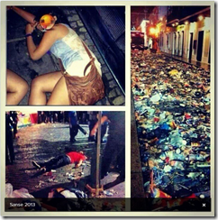 SanSe20133 SanSe20133