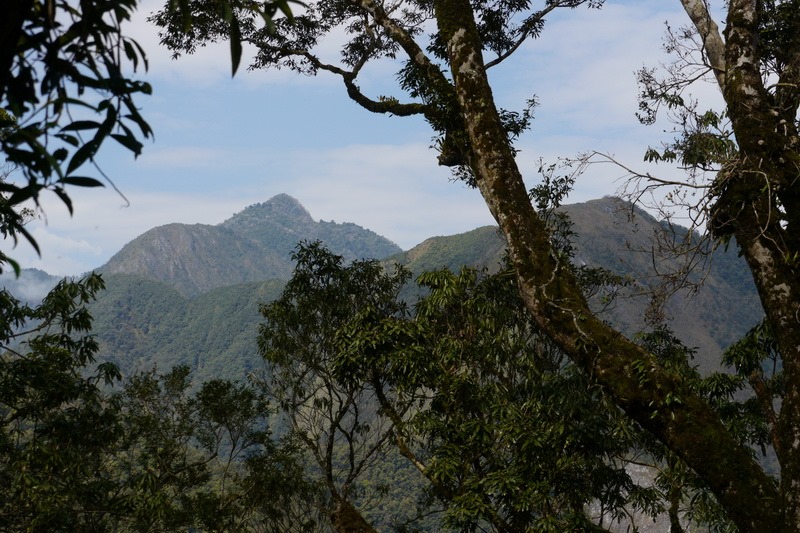 2013_0301 新城山_060 2013_0301 新城山_060