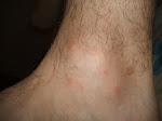 DSCF5485.JPG